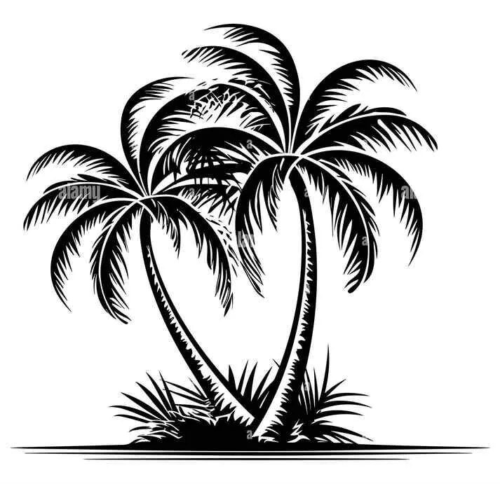Palm trees illustration for palmwine service